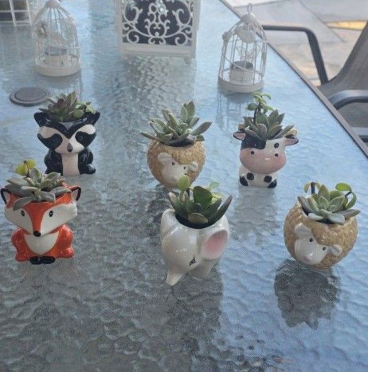 Mini succulent plants ceramic animal pots