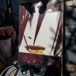 SNOWBOARD BY TINA BASICH, W/CARRIE  BAG  BY DA KINE  I ASK $250.00.00 SERIOUS BUYERS PLEASE