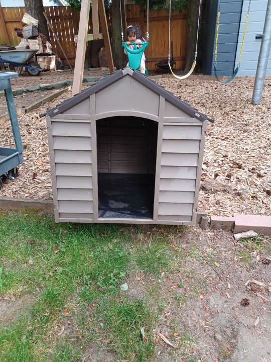 Dog House