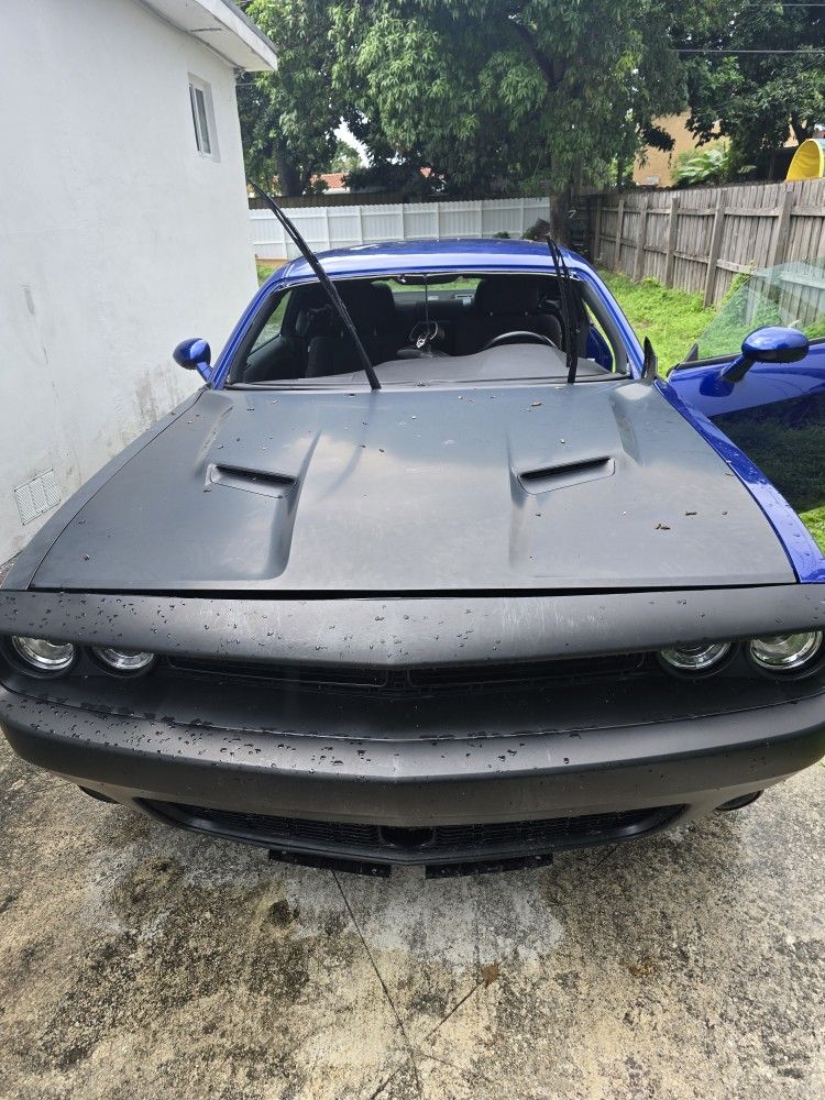 Windshield/palabrisas