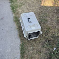 Dog Carrier 