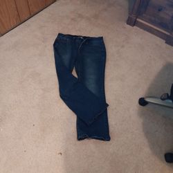 TERRA SKY 14W PETITE