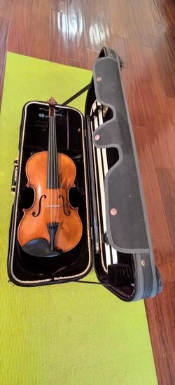 Viola- Rosalia V-9