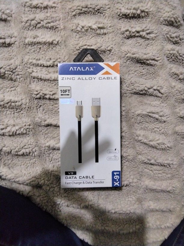 10 FT Fast Charger - Type C