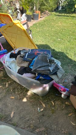 free stuff