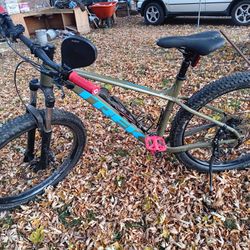 Trek Roscoe 6