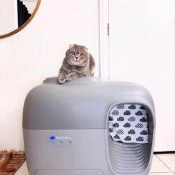 PetSnowy Self-Cleaning Litter Box