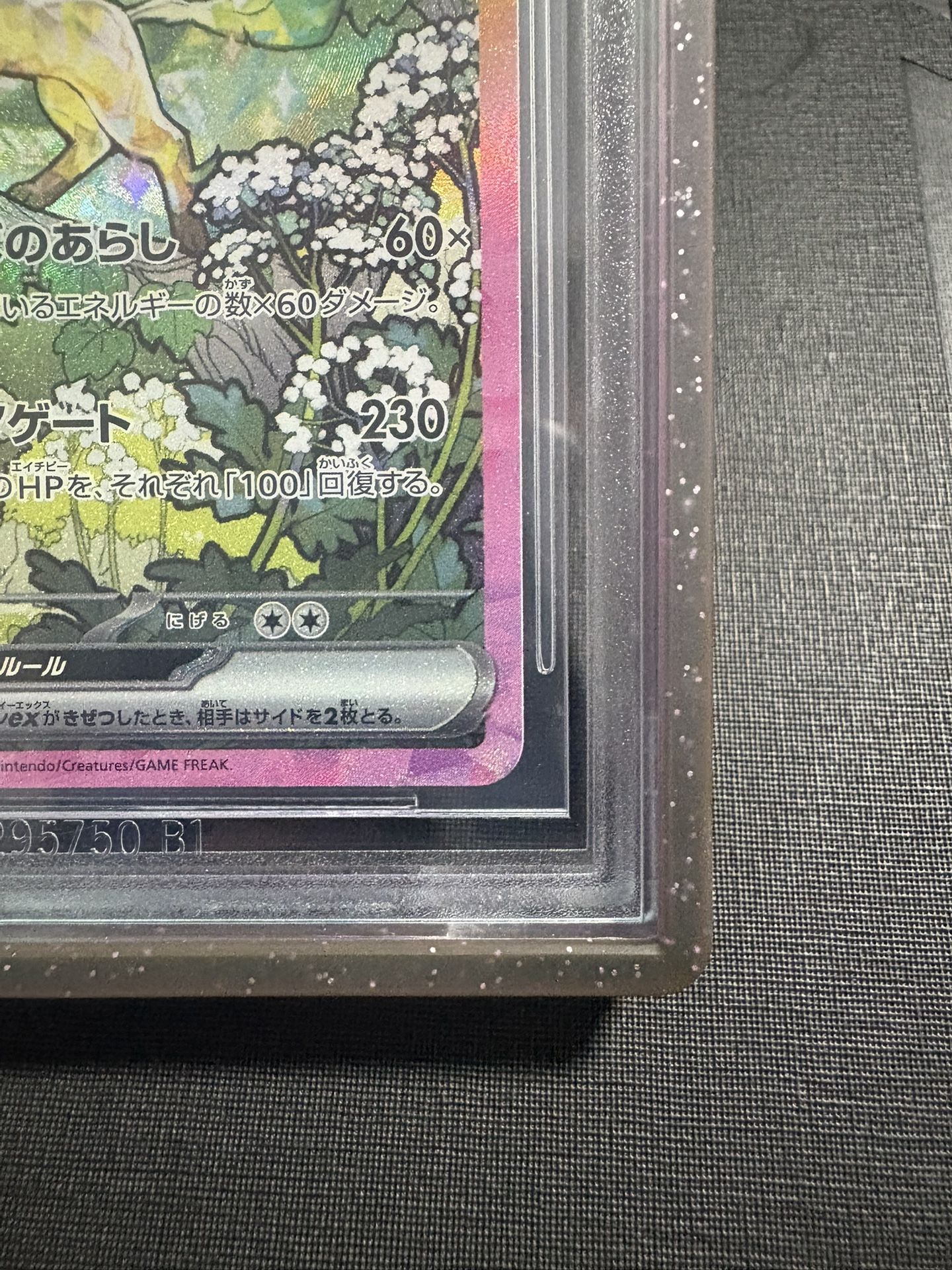 Pokemon Japanese Beckett Black Label (BGS) Leafeon EX SAR POP 10