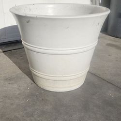 Pots  Ceramic  Plant 