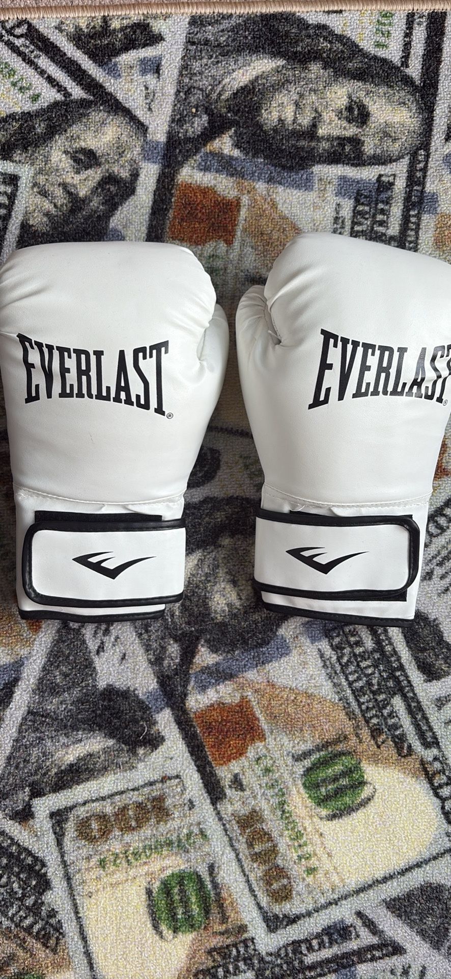 Everlast Boxing Gloves (Near New)