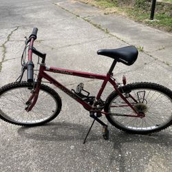 Magna Outreach 17”