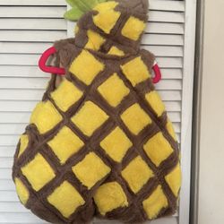 Pineapple costume