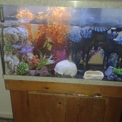 Fish Tank