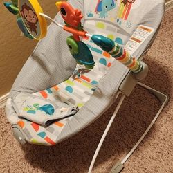 Bright Starts Baby Bouncer