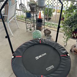 BCAN Rebounder