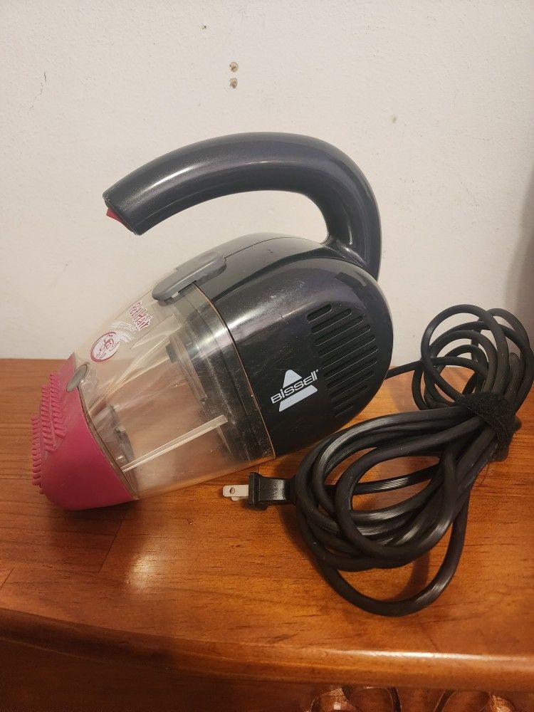 Bissell Pet Hair Eraser