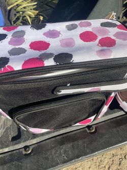 Polkadotted Lunch Bag/cooler