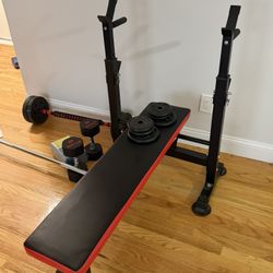 Bench press and bars and dumbles