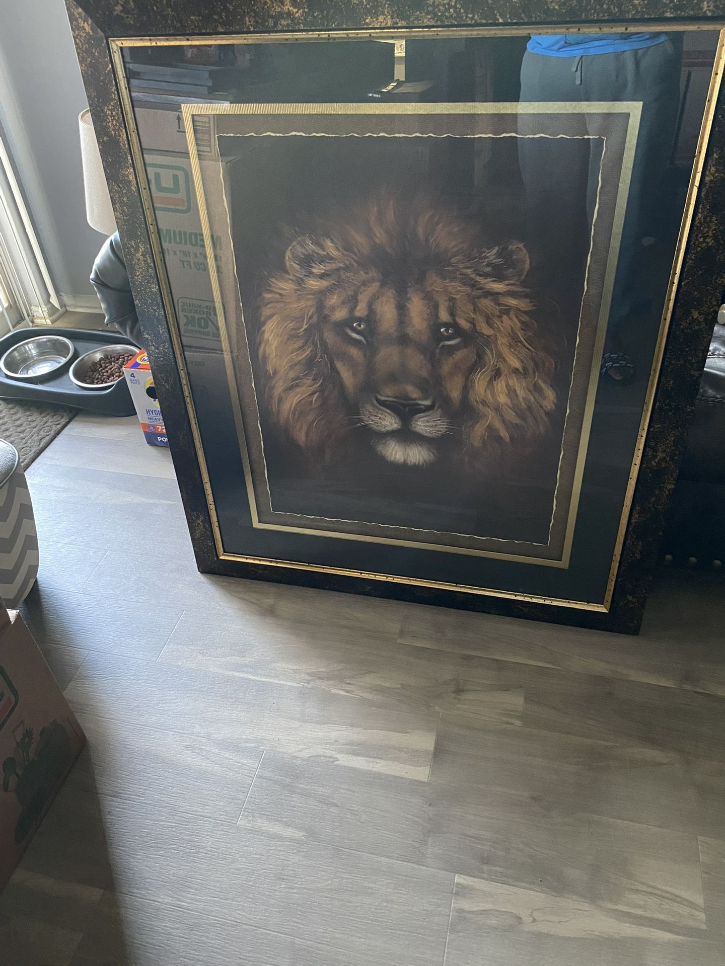 Lion Wall Picture