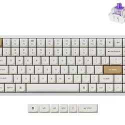 Keychron K2 HE Rapid Trigger Wireless Custom Keyboard with Hall Effect Gateron Double-Rail Magnetic Switch, 2.4 GHz QMK Bluetooth 5.2 RGB Compatible w