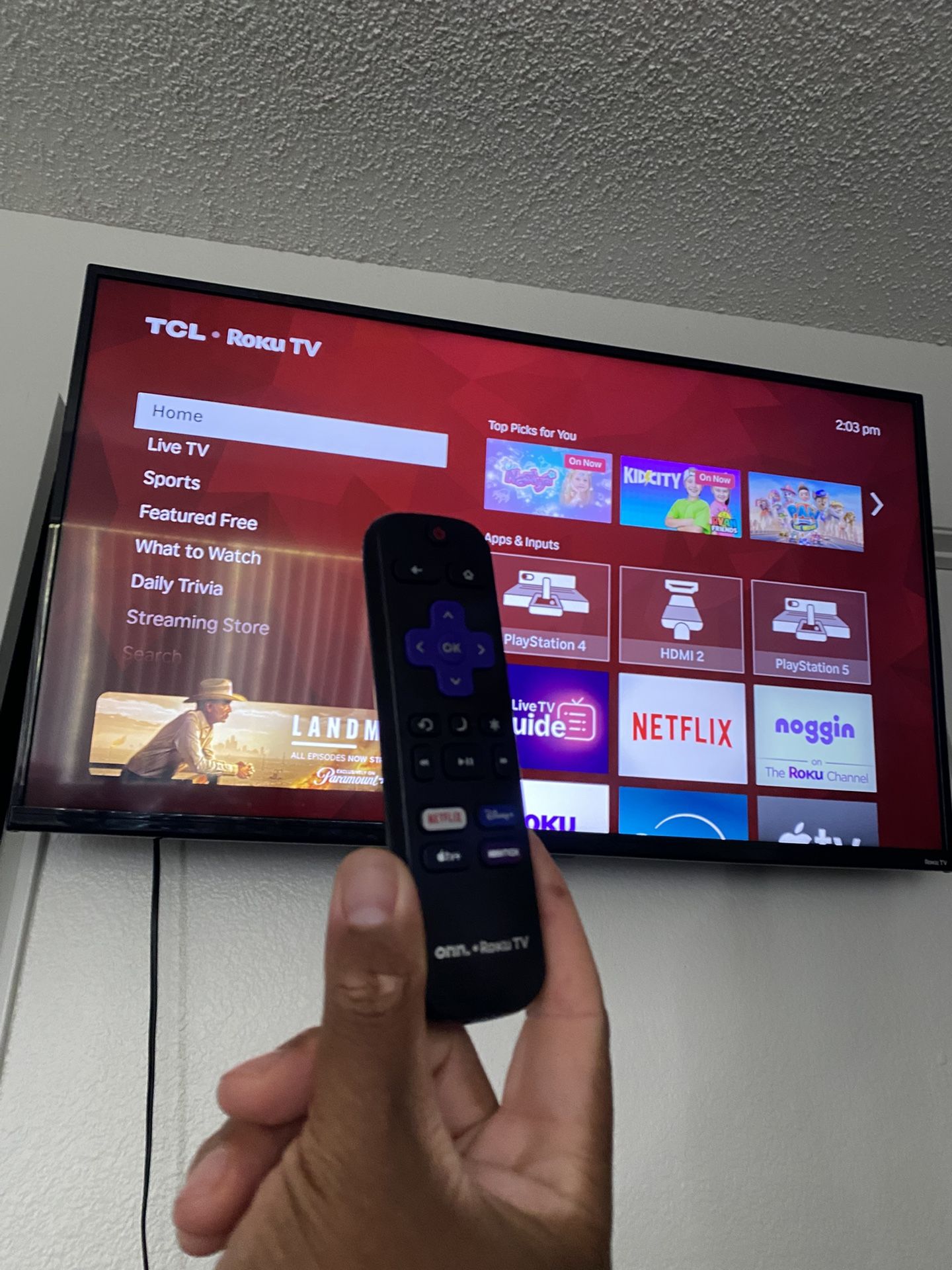 43’ Roku Tv