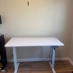 Electric Standing Desk – Works Perfectly – $140 (OBO)