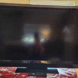 47 Inch Vizio 1080p HD TV $50 Works Great!