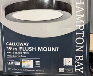 19 inch flush mount light, frosted black panel matte black finish