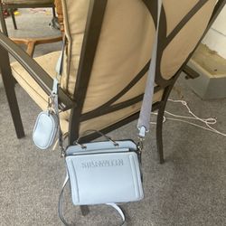 Steve Madden Purse 