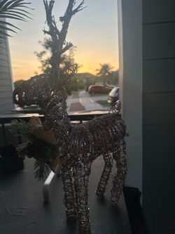 Christmas reindeer
