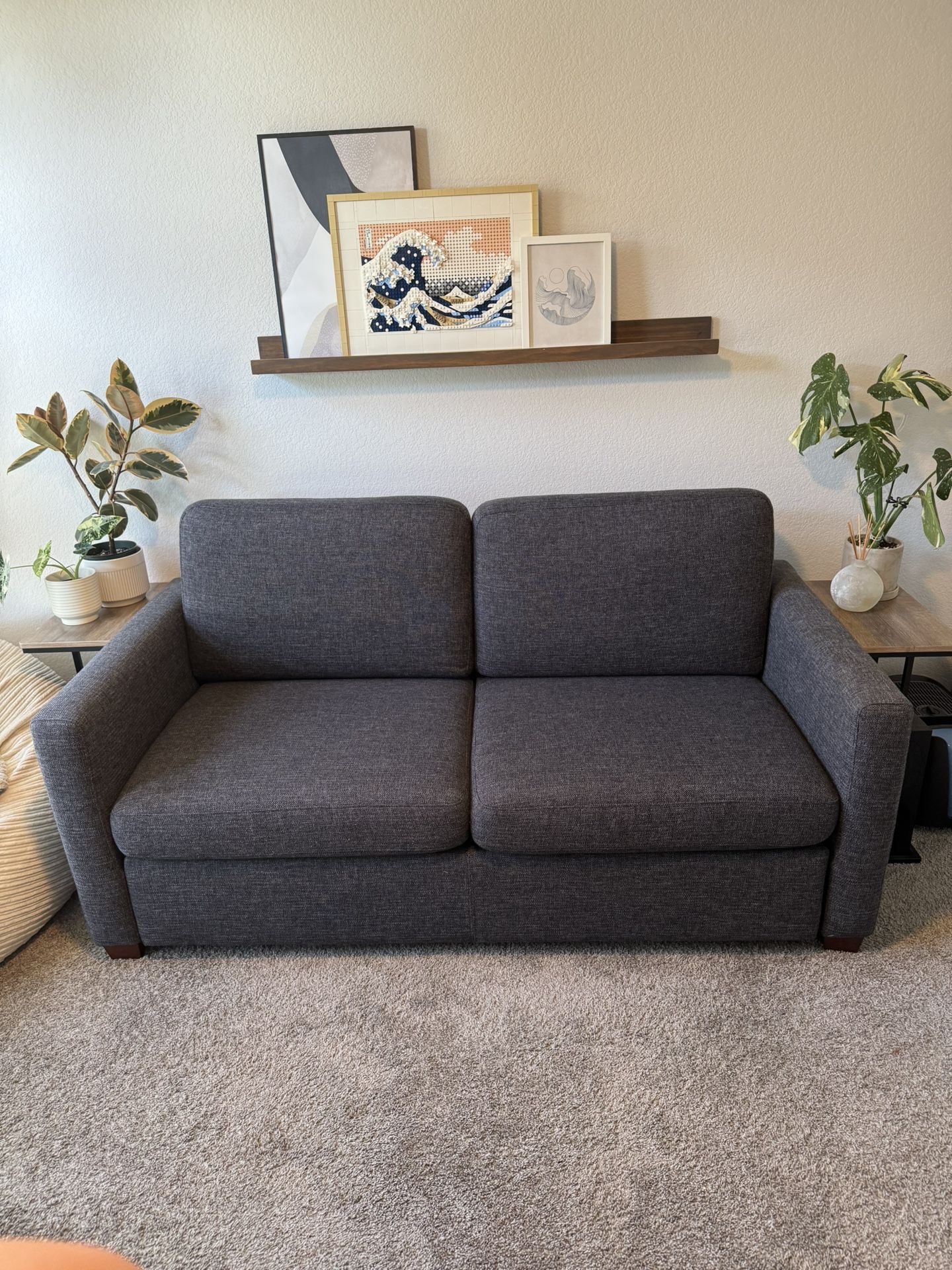 Pull Out Couch (Queen Size)