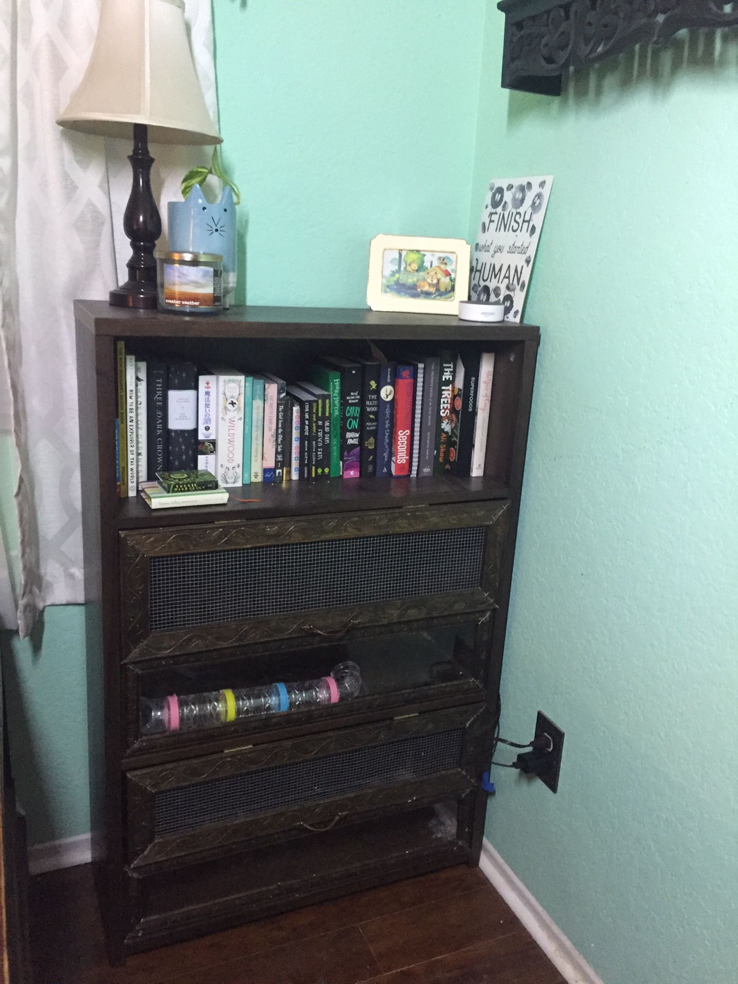 Bookshelf sale hamster cage