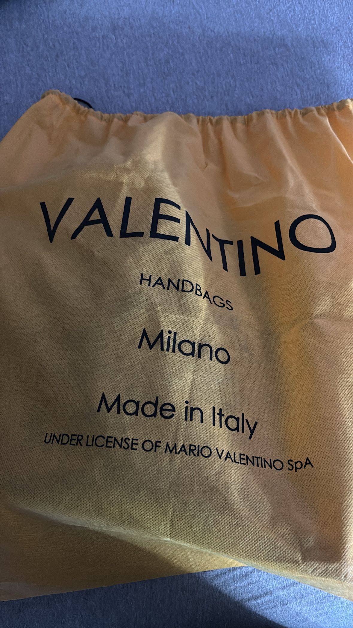Valentino Hand Bag