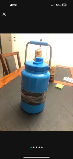 stainless steel jug