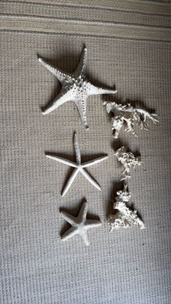 Starfish wall decor