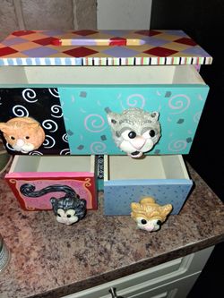 Storage cat box