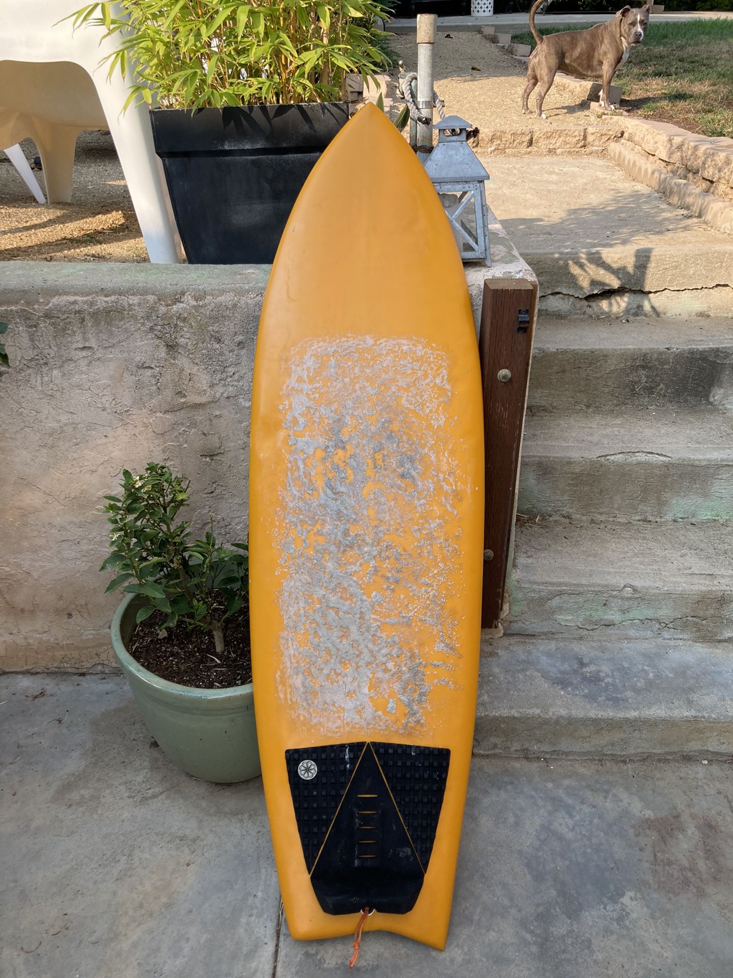 Surfboard 5'4” Hybrid Fish Asymmetrical FUN!!!