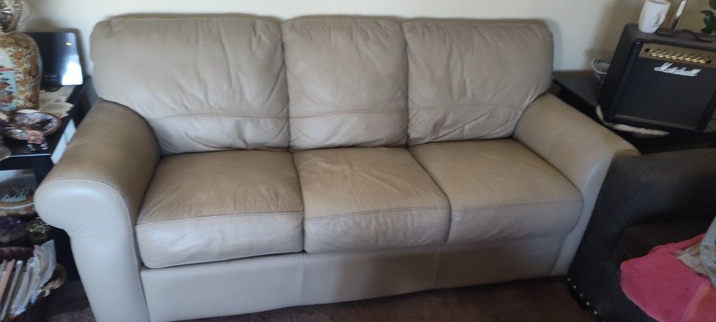 Leather Pull Out Bed Couch
