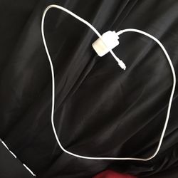 Apple Charger And Headphones 