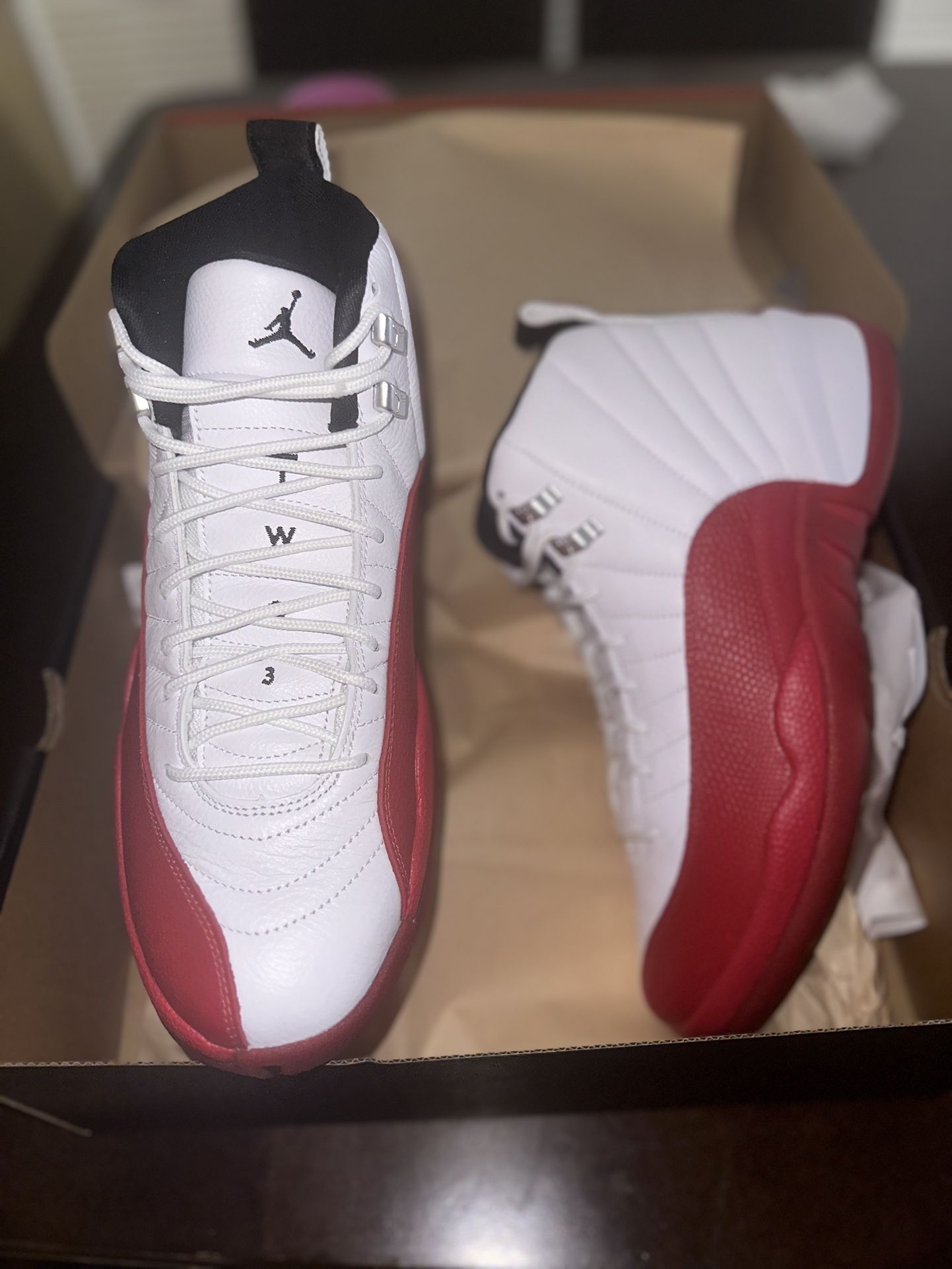 Brand New Men Air Jordan Retro 12 Cherry
