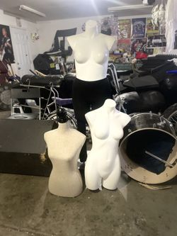 Body’s