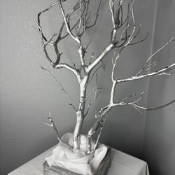 Gorgeous Silver Manzanita Tree