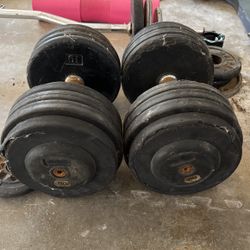 80lbs Dumbbell Weights 
