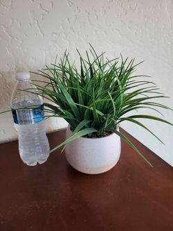 Artifical Plant/ceramic vase