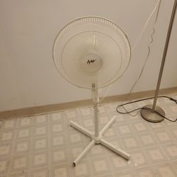 Fan