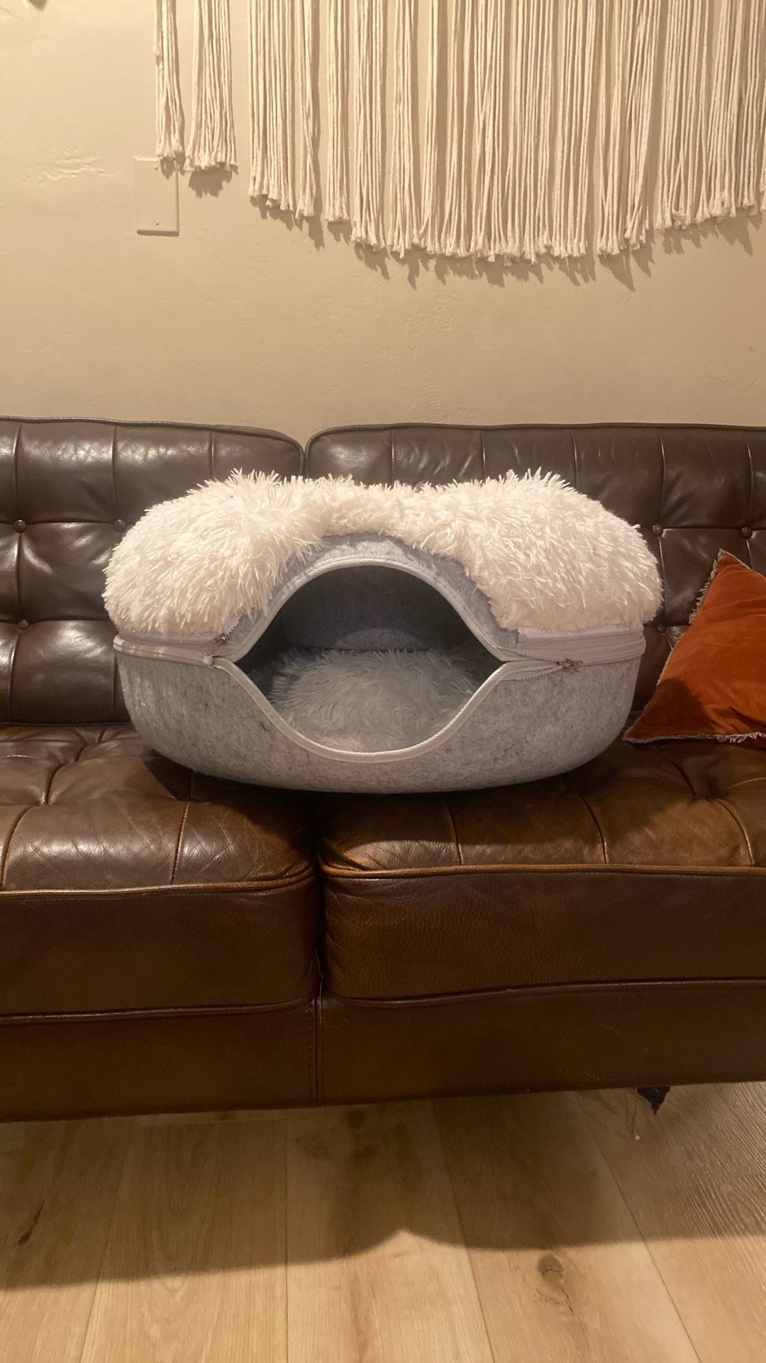 Cat Bed