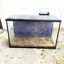 Multiple Aquarium 20 And 29 Gallon  $25 Each