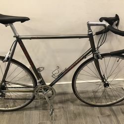 LeMond Alpe D Huez Road Bike Campagnolo