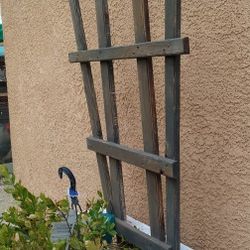 Plant Trellis 