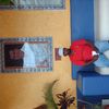 jay